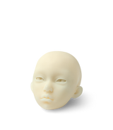 Phrozen High-Resolution BJD Resin